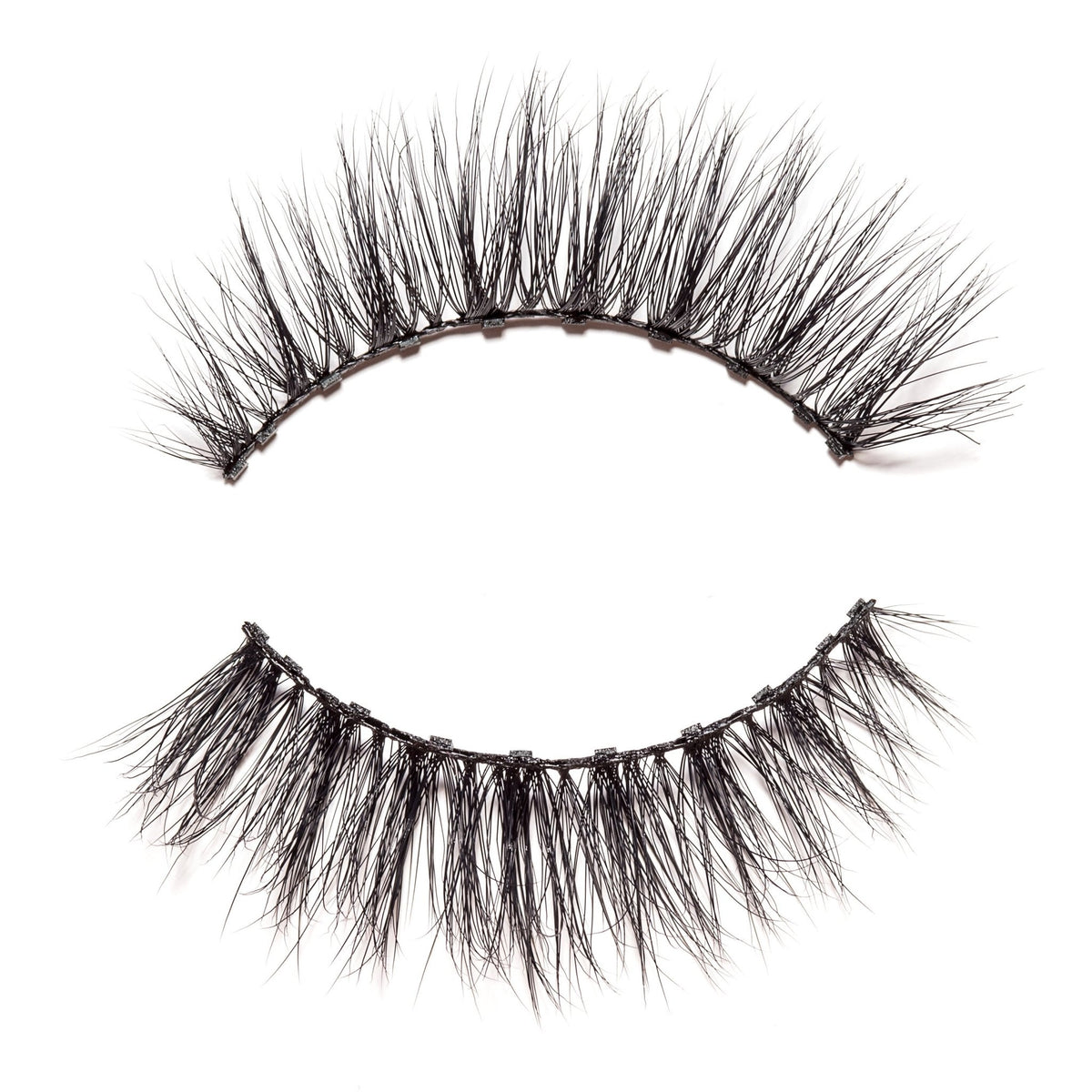 Zany Lash