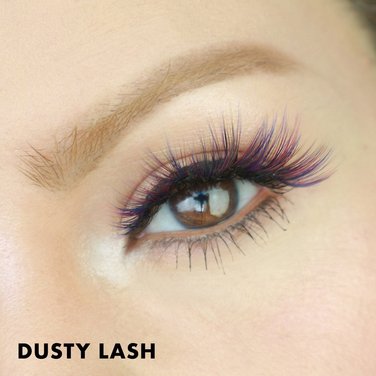 Dusty Lash