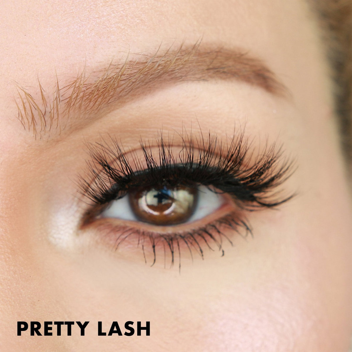 Pretty Lash